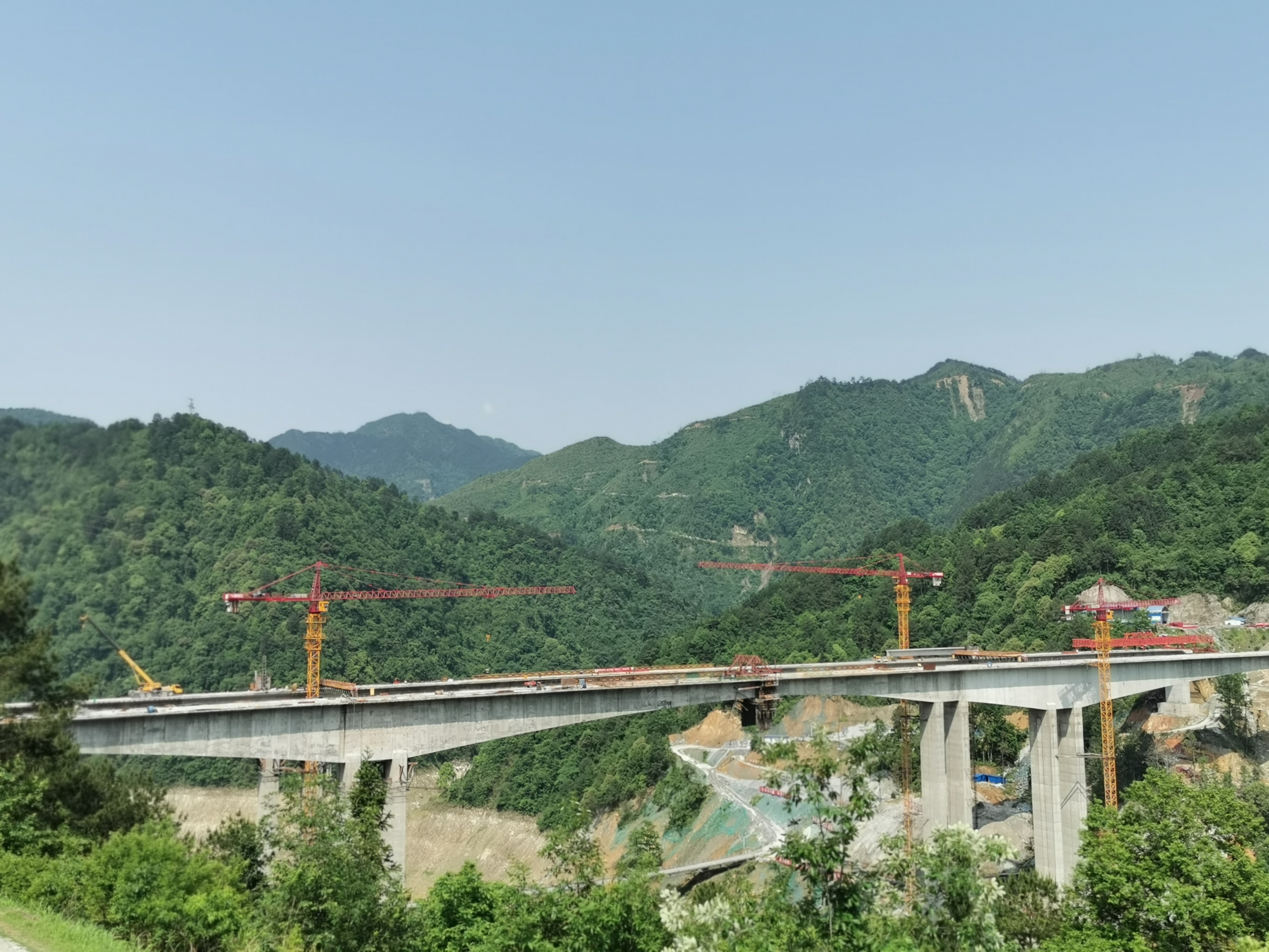 1589265459117578.jpg 1589265459117578.jpg